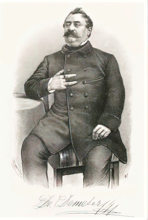 Dimitrija Demeter (Zagreb, 21. srpnja 1811. - Zagreb, 24. lipnja 1872.)