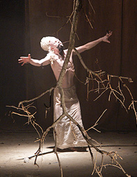 Adam Read Company, Tel Aviv, Izrael: Eclipse of Pygmy, red. Adam Read, foto: Igor Petrovski