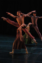 The Companía Nacional de Danza: Na floresta
