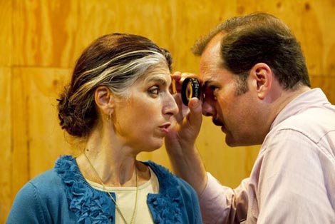 Smetnja vida (Vision Disturbance) 
